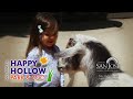 Click here to watch this video Lemur and the Copy Machine - Discover the Unexpected