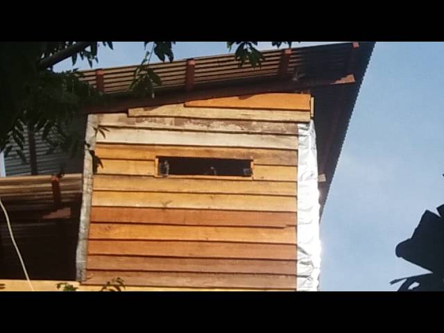 Suara Walet Thailand Mp3 Download