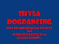 Shyla dogdancing shetland sheepdog Shyla dogdancing shetland sheepdog
