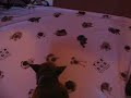 Catwalkin\