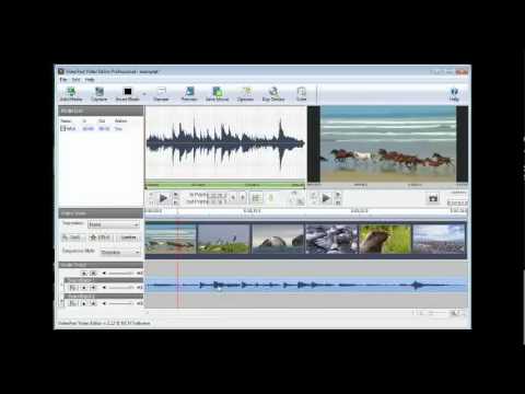 Software Tutorial - Video Tutorial for VideoPad Video Editing Software from NCH Software. This video introduces you to VideoPad and covers how to importing media files, setting ...