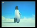 Laz Penguenler