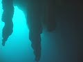 Dive experience