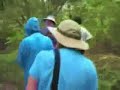 Looking for Turtles Looking for Turtles