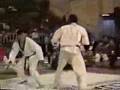 taekwondo vs karate View Video