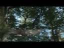 Merlin - The Gates Of Avalon - Part 1