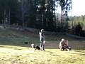 los brillos 1