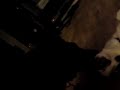 My Two Dogs Kissing XD