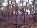 videos de un tit saut