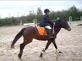 JULIEN ET ELEGANCE -challenge saumrois finale