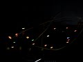 analog synthesizer buchla(www.synthorama.com)