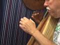 the Harp Channel-Amore= Happy Vacation