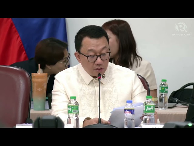 House leader: Funds potentially misused by VP Sara ‘surpass threshold for plunder’