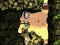 Donkey Kong Country 3 - Criss Kross Cliffs Donkey Kong Country 3 - Criss Kross Cliffs