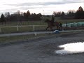 Galdur4.wmv
