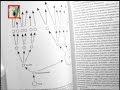 LA FISICA DELL'IMMORTALITA' di FJ Tipler