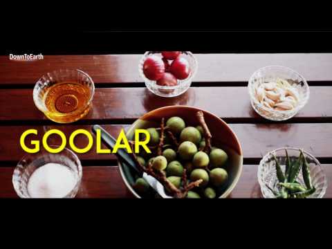 Recipe from First Food: Goolar Ka Chokha Recipe from First Food: Goolar Ka Chokha
