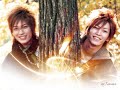 queen-of-pirates-kattun-affection-lyrics.html