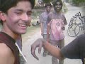 nepali holi II