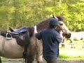 Handarbeit auf Trense Teil1