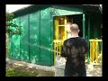 bar bar