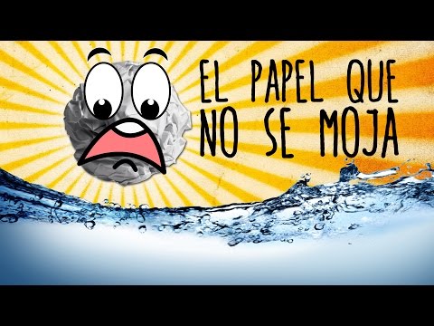 El papel que no se moja (Experimentos Caseros para niños)