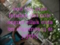 las lindas de  (yopal)