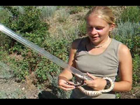 Great Basin Gopher Snake