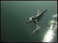 Swiss air force-Push the limit