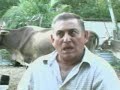 Huitecos/las vacas flacas Huitecos/las vacas flacas