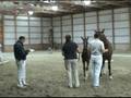 videos de Silhouette 2008 Filly by Sempatico