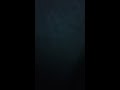 Click here to watch this video クワガタにチョップしたらタイムスリップした カラオケ歌って来た