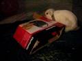 Snow's first box