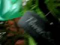 videos de Fafa se la coule douce