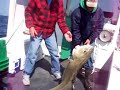 Landing a Large Cod