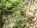 LOS AMANECIDOS EN TABALA SINALOA LOS AMANECIDOS EN TABALA SINALOA