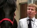 What a horse sees... What a horse sees...