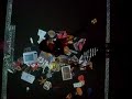 Camila na exposi��o