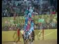 Deutsche Meisterschaft Voltigieren Alsfeld 2008 - Gruppen