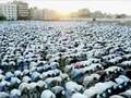 Yasir Abdussamad Quran Recitation
