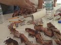Felda Florida 09 rib judges Felda Florida 09 rib judges
