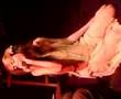RUBY THROAT KATIE JANE GARSIDE QUEENADREENA LIVE PARIS 2008