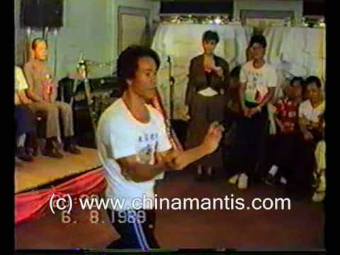 CHU GAR MANTIS - 1989 CHENG WAN SIFU CELEBRATION