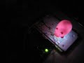 arduino ambient pig arduino ambient pig