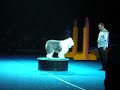 IAMS Superdog at Pacific National Exhibition, Vancouver - Dog introduction (2)