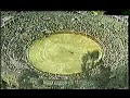 video promocional de bogotá  1990 