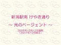 Niigata Zelkova Street Light Pageant - 新潟駅南 けやき通り 光のページェント