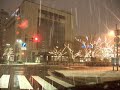Niigata Zelkova Street Light Pageant - 新潟駅南 けやき通り 光のページェント