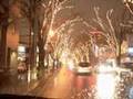 Niigata Zelkova Street Light Pageant - 新潟駅南 けやき通り 光のページェント