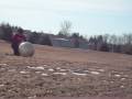 videos de Bumper Ball